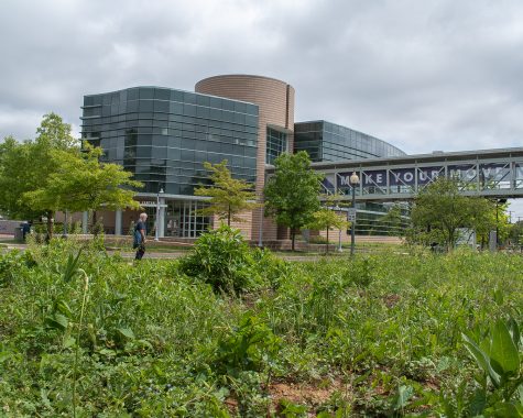 Located in front of the Charlene R. Nunley Student Services Center (ST), grows a garden containing a variety of plants. The garden, grown by and for the Montgomery College community, will provide free organic food for consumption. This MC-grown garden is referred by its project’s name, “MC Grows Community.”