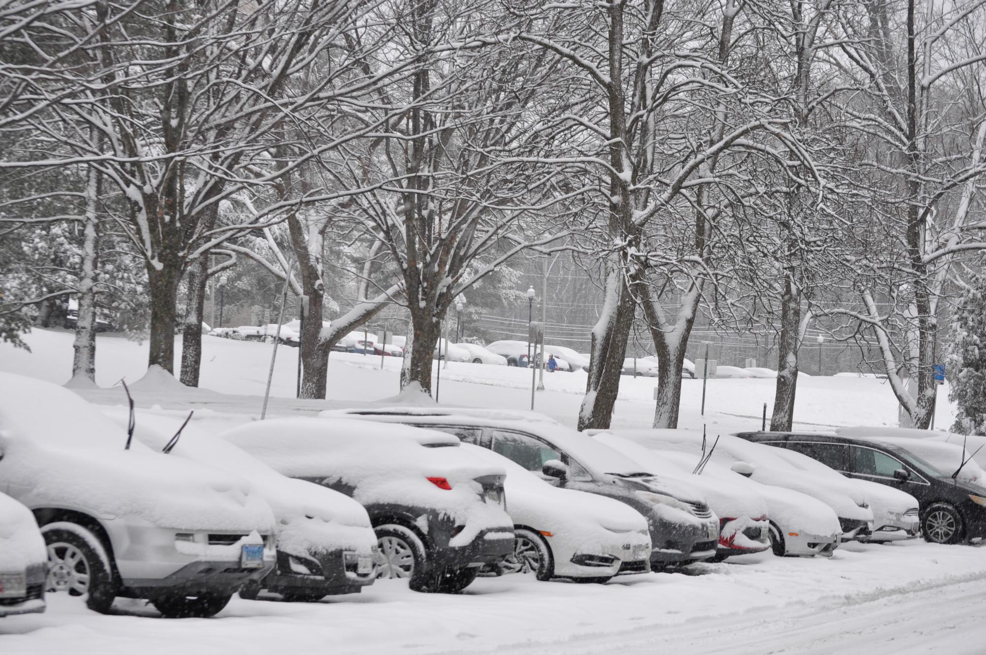 A fleet of cars sit enveloped by snow in a parking lot.